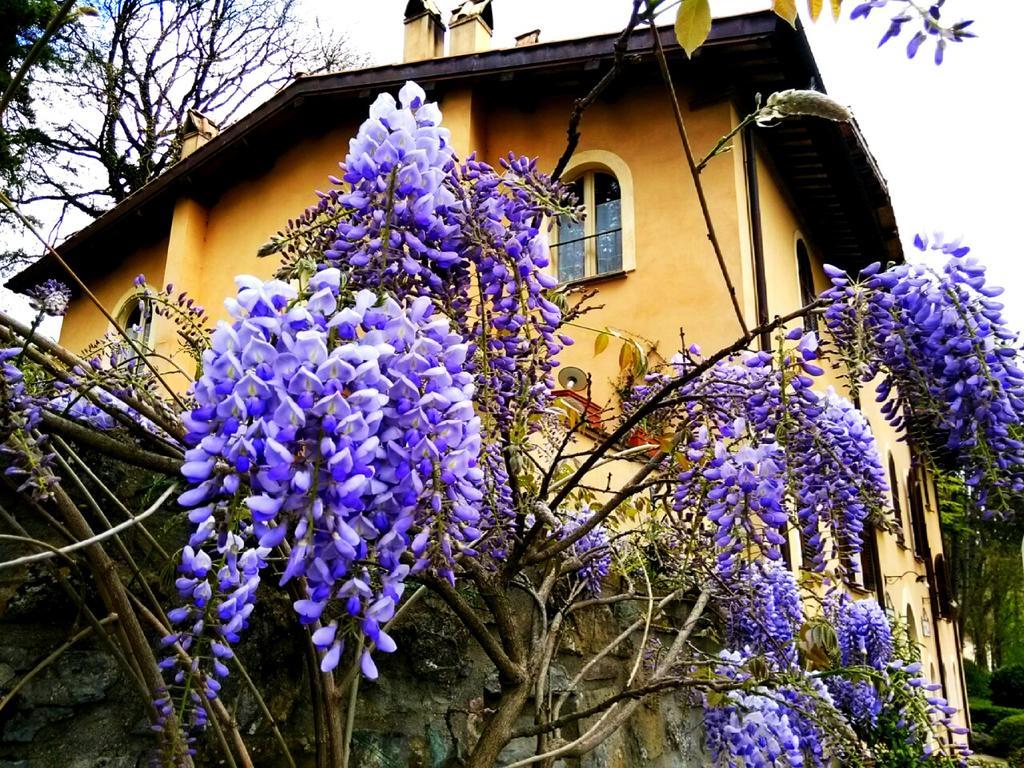 La Locanda Del Borgo Pietralunga  Exterior photo